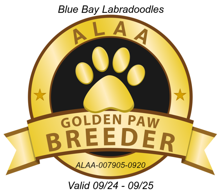 Blue Bay GOLDEN PAW 2024